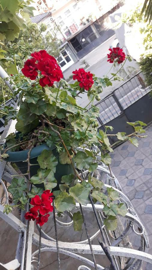 Homestay Izolda Batumi Eksteriør billede